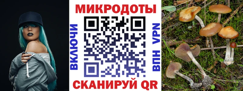mega онион  Белорецк  Псилоцибиновые грибы Psilocybine cubensis 
