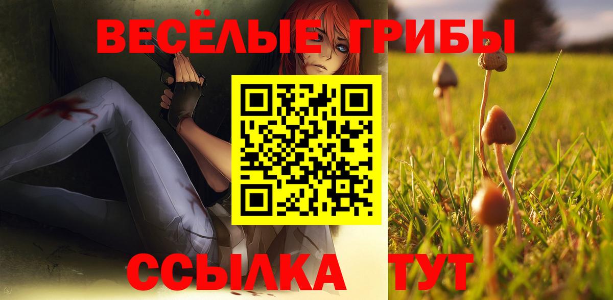 Псилоцибиновые грибы Psilocybe  Псилоцибиновые грибы Psilocybe  Вход с VPN  Белорецк 