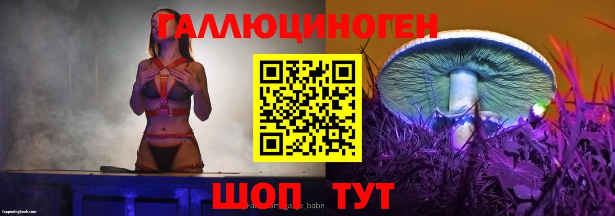 Галлюциногенные грибы Psilocybe  где найти   Белорецк 