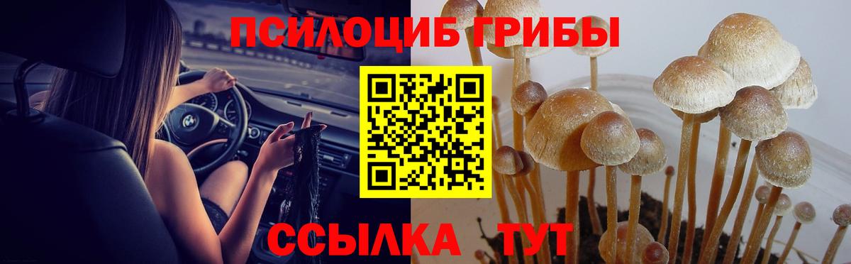 Псилоцибиновые грибы ЛСД Белорецк